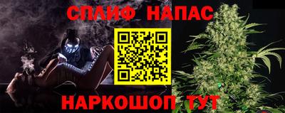 мяу мяу мука Малгобек