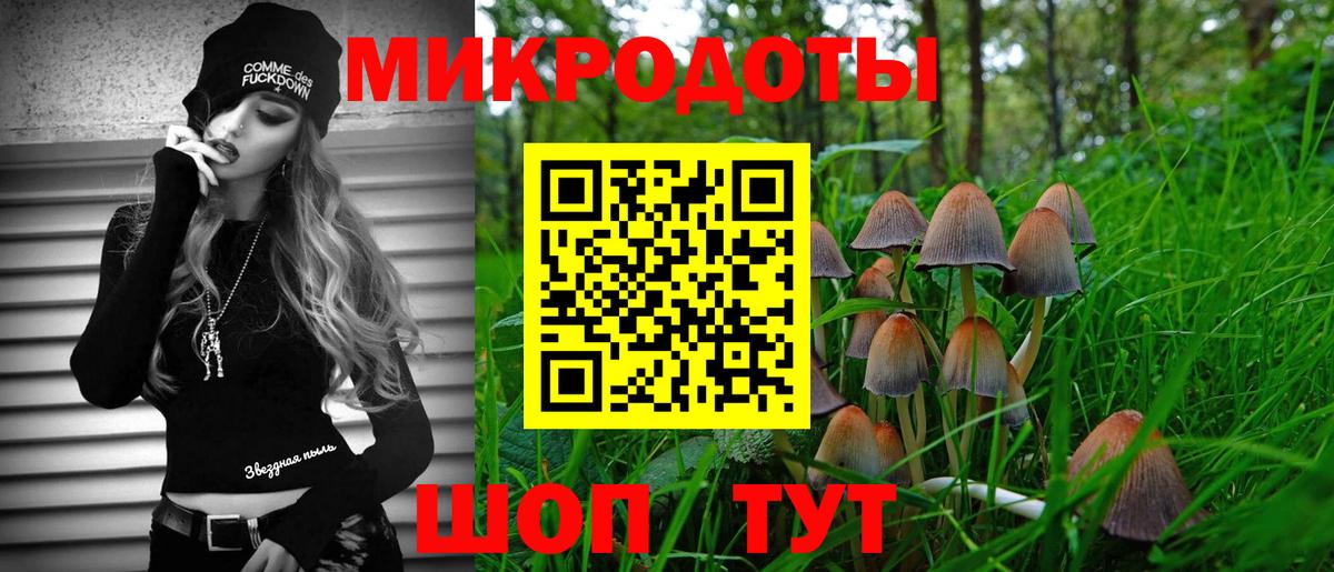Галлюциногенные грибы GOLDEN TEACHER  Галлюциногенные грибы Magic Shrooms  Вход с VPN  где купить   Каменск-Шахтинский 